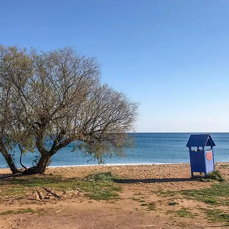 Amazing In With Wifi *