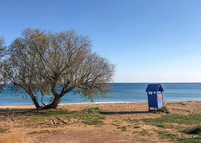 Amazing In With Wifi *